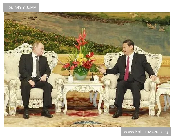 澳门上普京官网提供普京在澳门的访问背景与合作成果详细分析