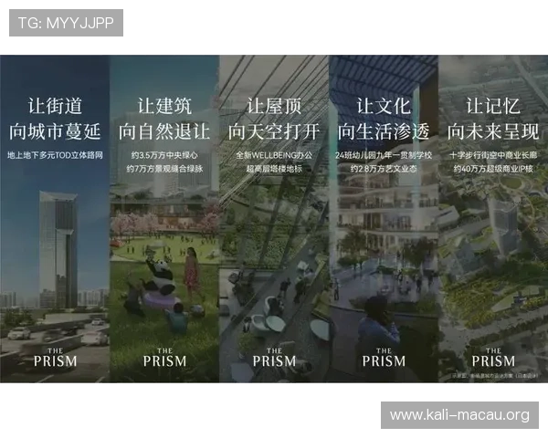 澳门新葡京娱乐场网站提供的丰富游戏类型介绍